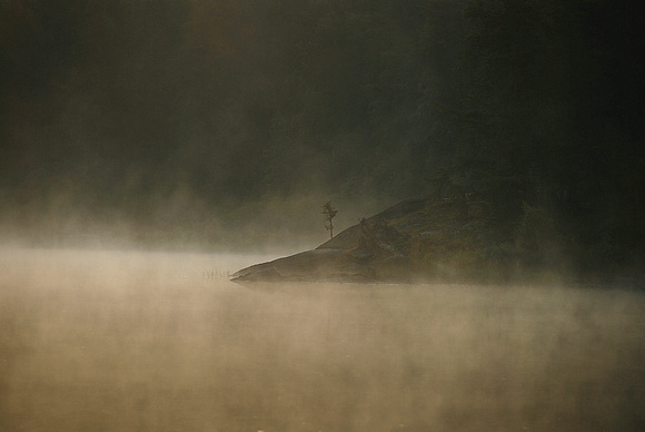 Wilderness Morning (Prints from $35 to $110) Click "add to cart" for price list