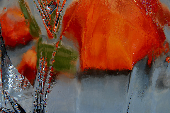 Orange Abstract (prints $35-110)
